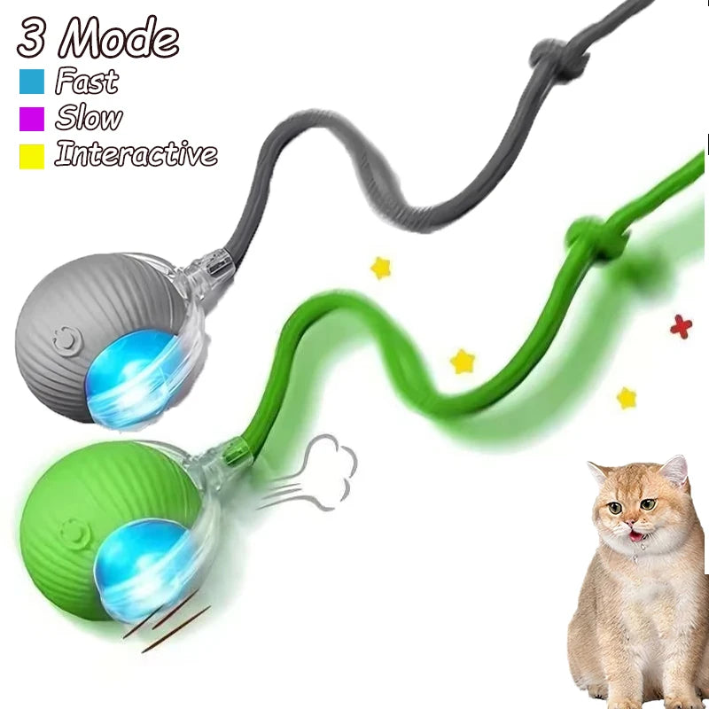 Interactive Cat Ball Toy