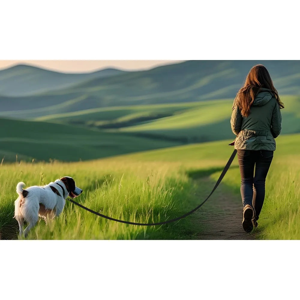 Waterproof Dog Leash, 3M/5M/10M/15M/20M/30M Dog Training Leash for Outside, Durable PVC Long Line Tracking Lead with Padded Hand