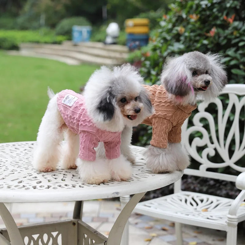 Pet Dog Clothes Winter Super Warm Jacket Thicker Cotton Coat Waterproof For Small Medium Dogs Puppy Yorkshire Outfit
