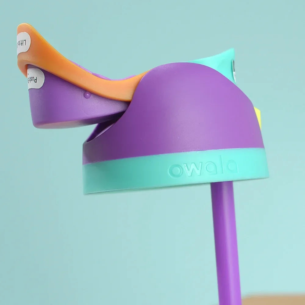 Owala Insulated Stainless Steel Water Bottle with Straw, BPA-Free Sports Water Bottle, Great for Travel,32Oz