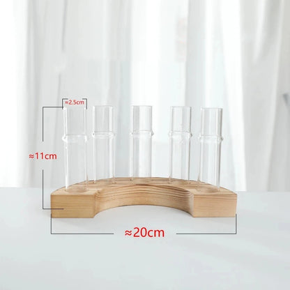 Test Tubes Vases Propagation Stations Terrarium Stand