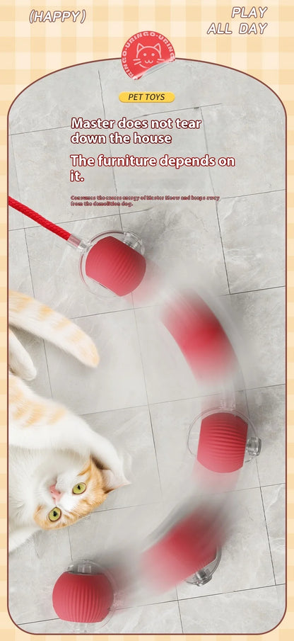 Interactive Cat Ball Toy