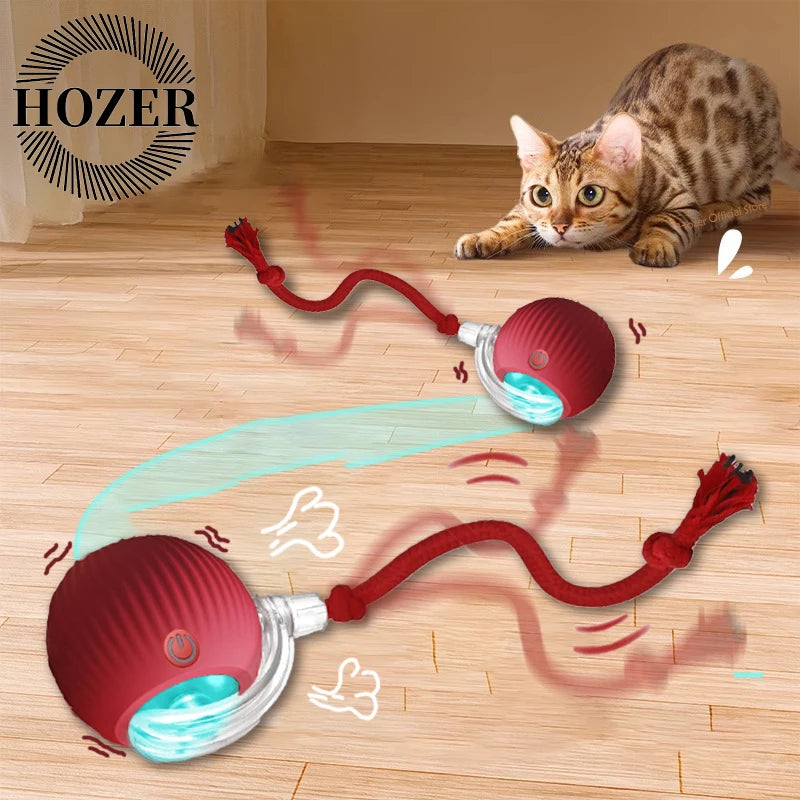 Interactive Cat Ball Toy