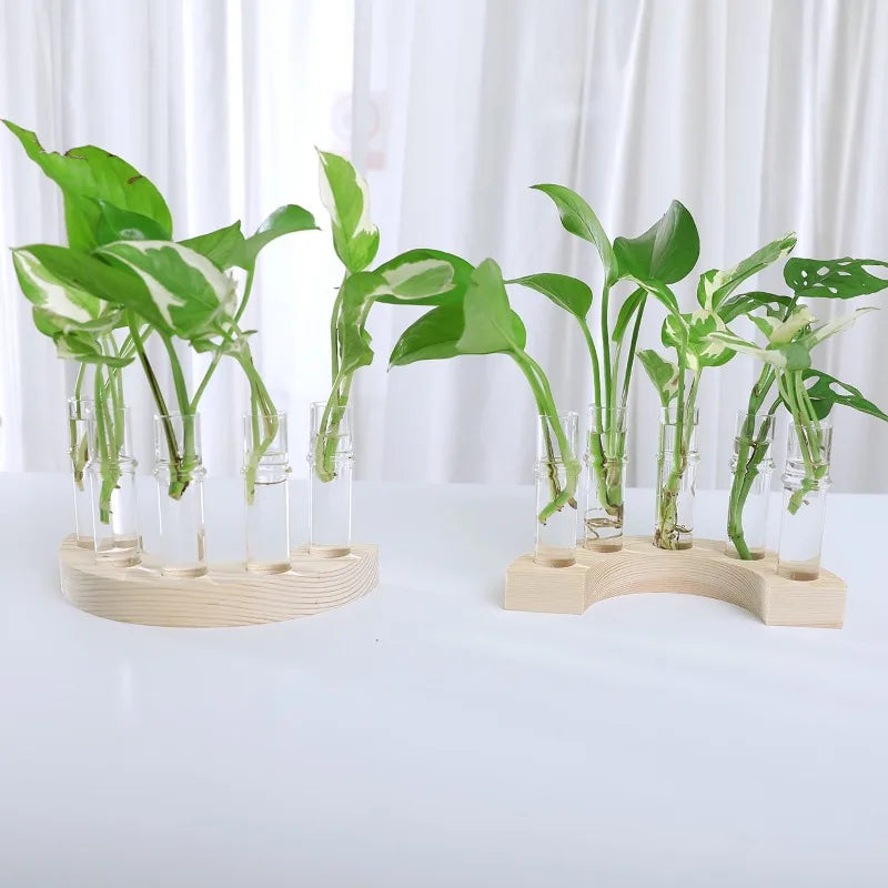 Test Tubes Vases Propagation Stations Terrarium Stand
