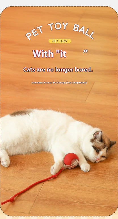 Interactive Cat Ball Toy