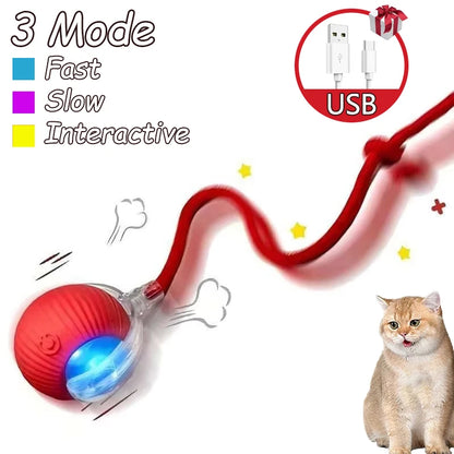 Interactive Cat Ball Toy