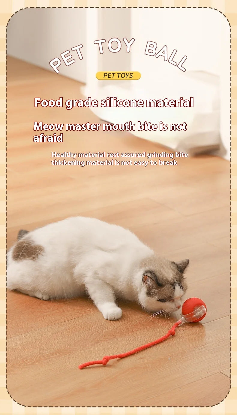 Interactive Cat Ball Toy