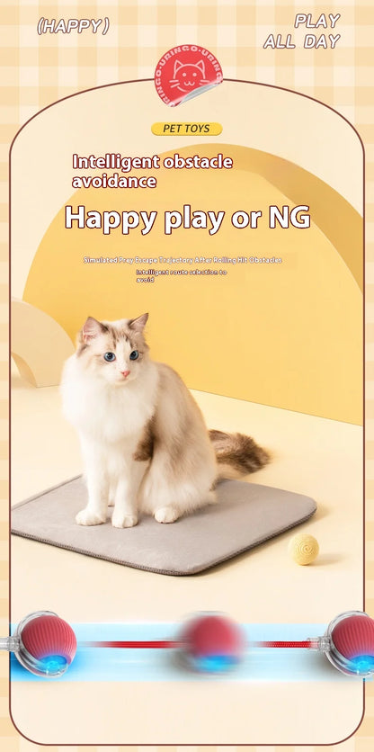 Interactive Cat Ball Toy