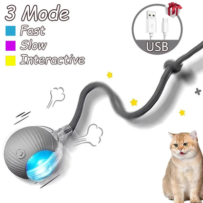 2Pcs Cat Interactive Ball Toys Automatic Rolling Ball Faux Tail Rechargeable Smart Pet Electric Toy Cat Training Imitate Mouse