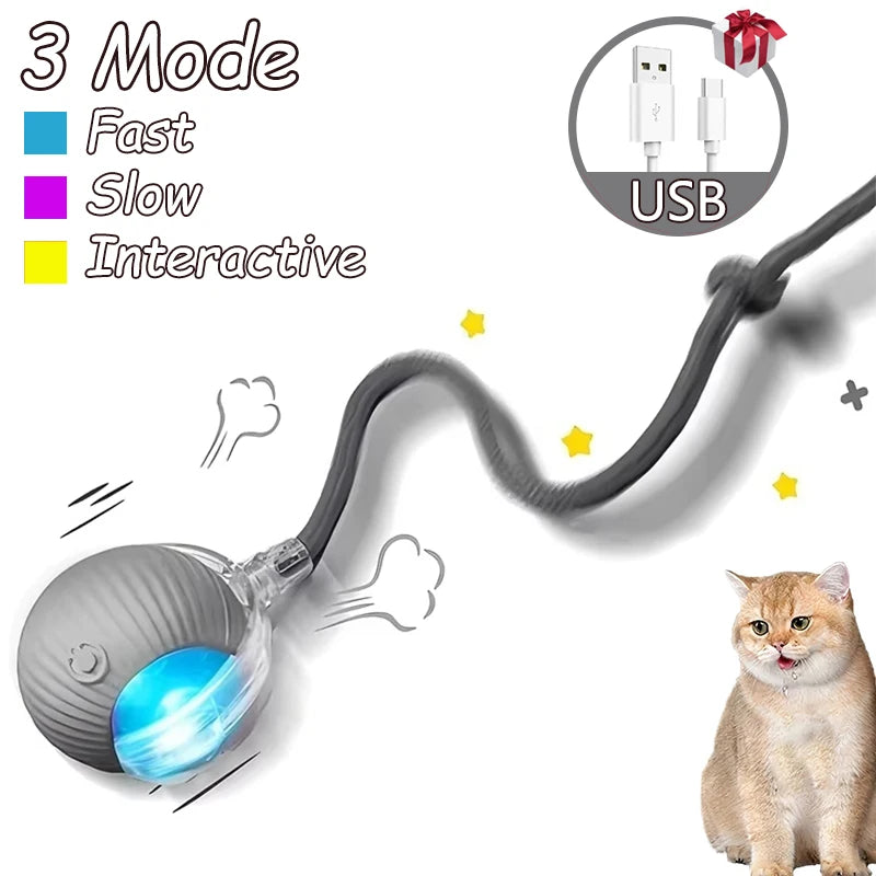 Interactive Cat Ball Toy