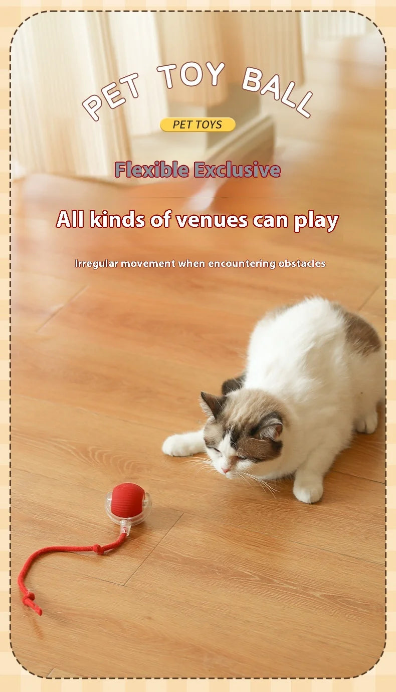 Interactive Cat Ball Toy
