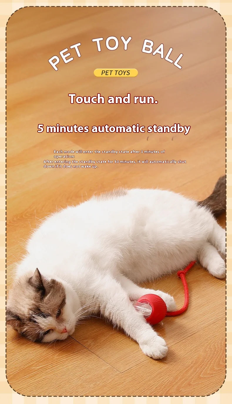 Interactive Cat Ball Toy