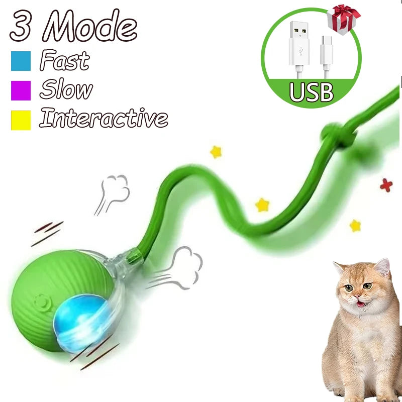 Interactive Cat Ball Toy