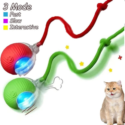 Interactive Cat Ball Toy