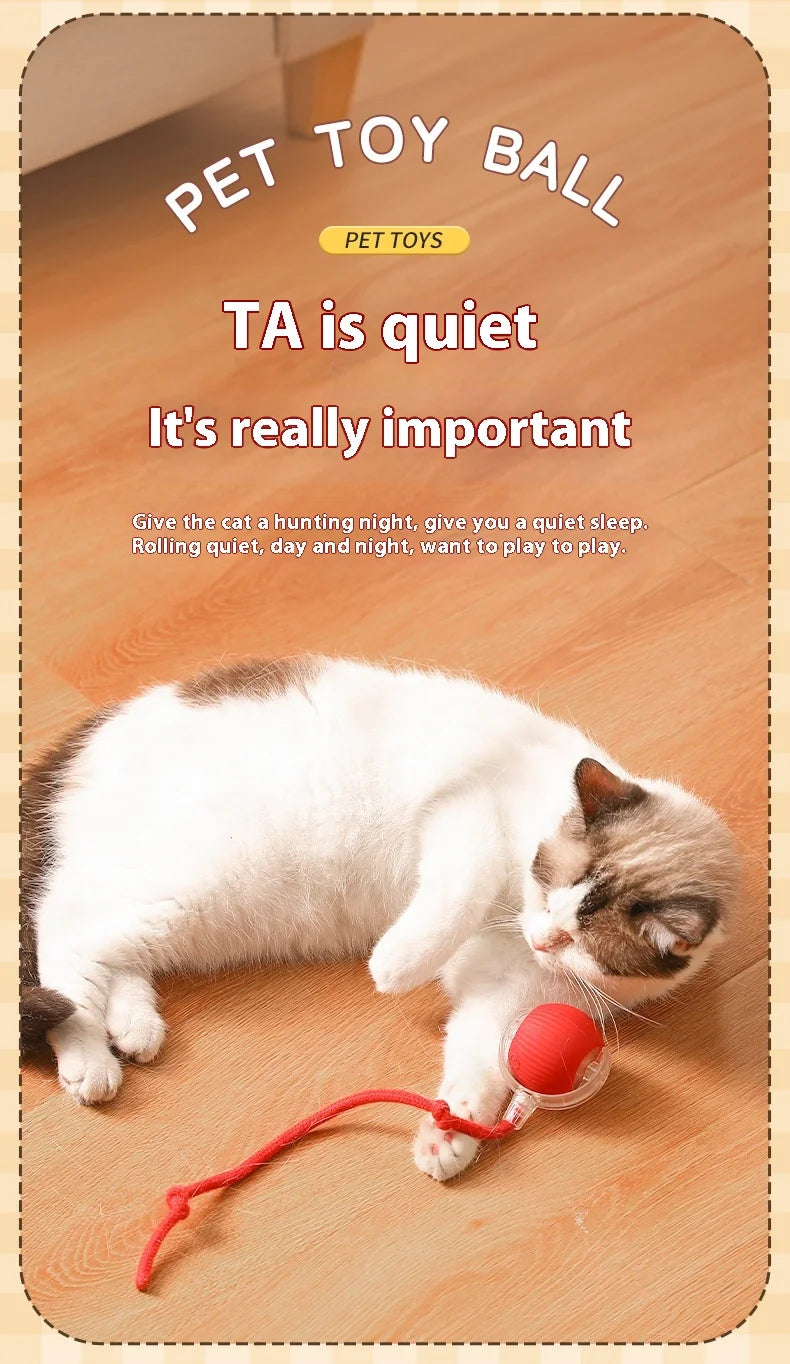 Interactive Cat Ball Toy