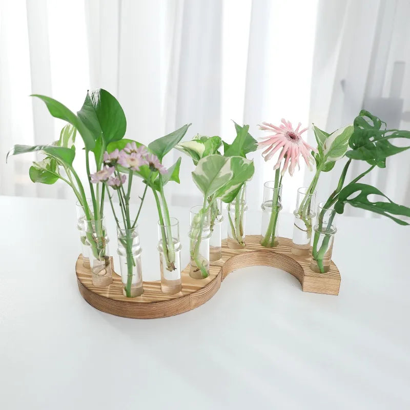 Test Tubes Vases Propagation Stations Terrarium Stand