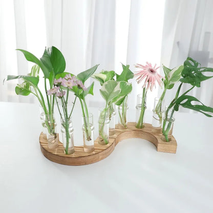 Test Tubes Vases Propagation Stations Terrarium Stand