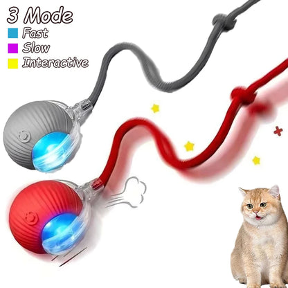 Interactive Cat Ball Toy