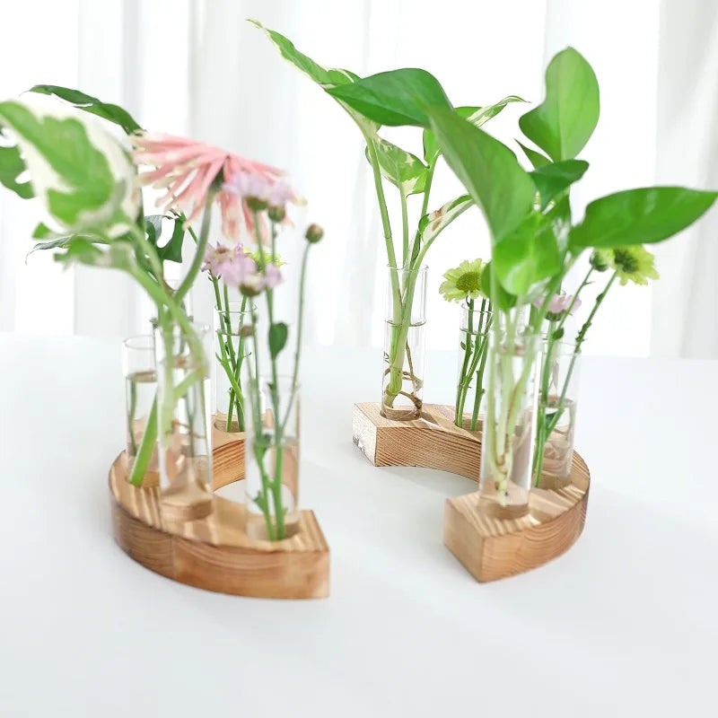 Test Tubes Vases Propagation Stations Terrarium Stand
