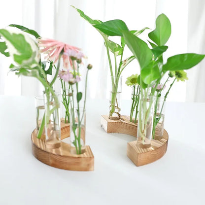 Test Tubes Vases Propagation Stations Terrarium Stand