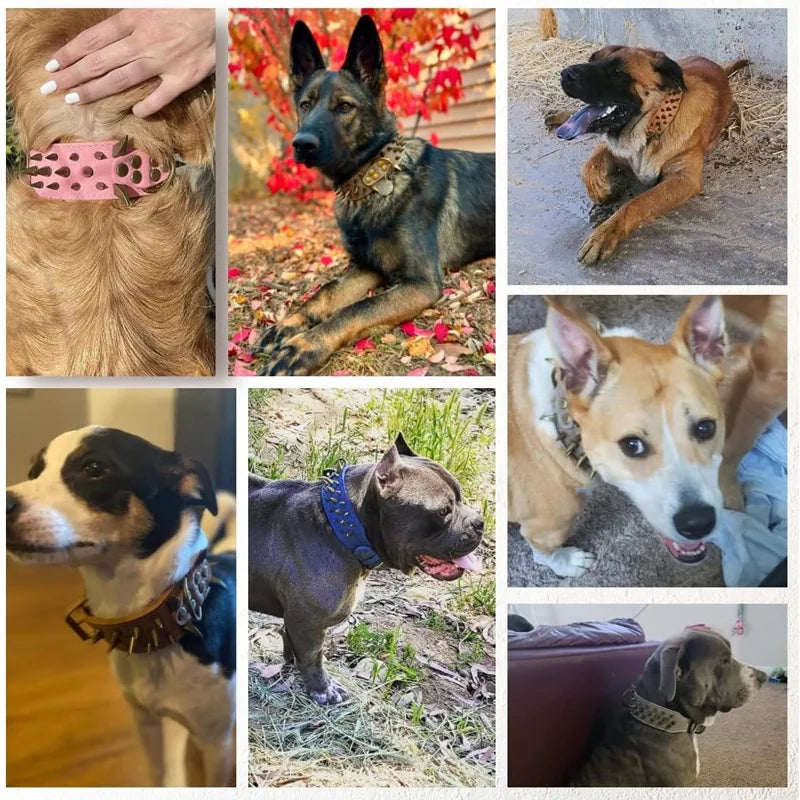 Domineering Spikes, Dog Collars, Medium and Large Rivets, Anti-bite Pet Collars, Rivets, Decorative Adjustable Dog Collars
